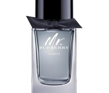 BURBERRY MR. BURBERRY INDIGO EDT 100ml