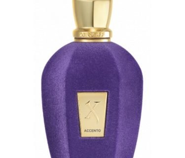 XERJOFF V ACCENTO EDP 100ml