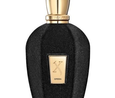 XERJOFF V OPERA EDP 100ml