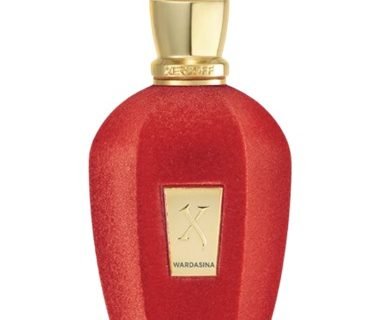 XERJOFF V WARDASINA EDP 100ml