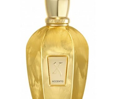 XERJOFF V ACCENTO OVERDOSE EDP 100ml
