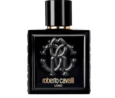 ROBERTO CAVALLI UOMO (M) EDT 100ml