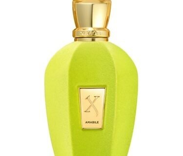 XERJOFF V AMABILE EDP 100ml