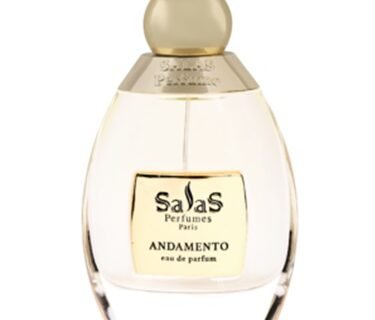 SALAS ARTE ANDAMENTO EDP 100ml STANDARD BOX